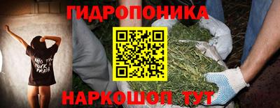 мяу мяу мука Краснознаменск